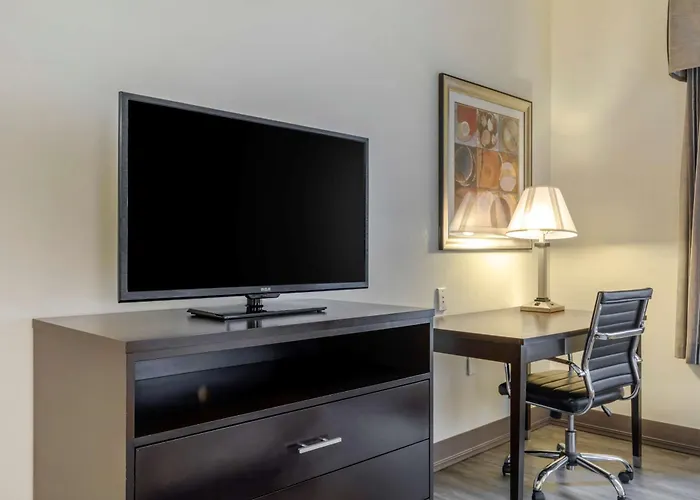 Best Western Plus Rockwall Inn & Suites